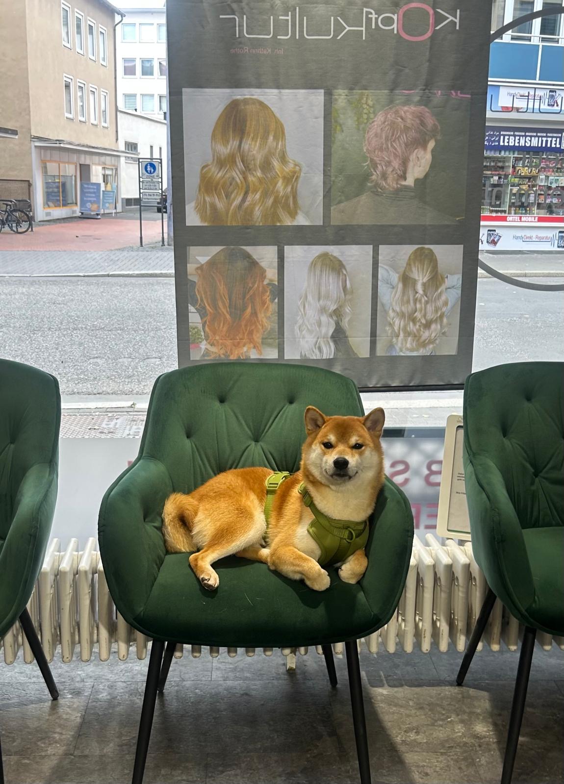 3b00b38f-4498-4757-878e-4ca21665ed95